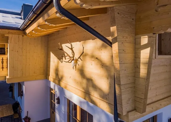 Vakantiehuis Falkensteinalm 2 *